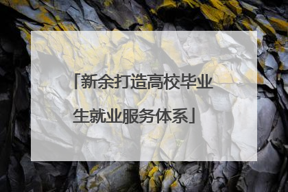 新余打造高校毕业生就业服务体系